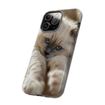 Ragdoll Kitten Sunbeam Phone Case Cute Kitten Aesthetic Gift
