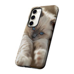 Ragdoll Kitten Sunbeam Phone Case Cute Kitten Aesthetic Gift