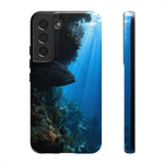 Grouper Reef Phone Case, Shadowed Ledge Light Tough Cover