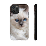 Ragdoll Kitten Phone Case, Blue Eyes Macro Portrait Cover, Gift