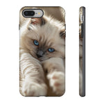 Ragdoll Kitten Sunbeam Phone Case Cute Kitten Aesthetic Gift