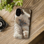Ragdoll Kitten Sunbeam Phone Case Cute Kitten Aesthetic Gift