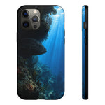 Grouper Reef Phone Case, Shadowed Ledge Light Tough Cover