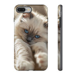 Ragdoll Kitten Sunbeam Phone Case Cute Kitten Aesthetic Gift