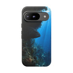 Grouper Reef Phone Case, Shadowed Ledge Light Tough Cover