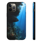 Grouper Reef Phone Case, Shadowed Ledge Light Tough Cover