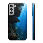 Grouper Reef Phone Case, Shadowed Ledge Light Tough Cover