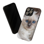 Ragdoll Kitten Phone Case, Blue Eyes Macro Portrait Cover, Gift