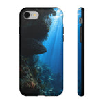 Grouper Reef Phone Case, Shadowed Ledge Light Tough Cover