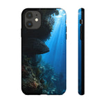 Grouper Reef Phone Case, Shadowed Ledge Light Tough Cover