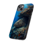 Grouper Reef Phone Case, Sunbeam Ledge Marine Art Tough Cover