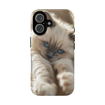Ragdoll Kitten Sunbeam Phone Case Cute Kitten Aesthetic Gift