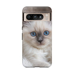 Ragdoll Kitten Phone Case, Blue Eyes Macro Portrait Cover, Gift