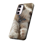 Ragdoll Kitten Sunbeam Phone Case Cute Kitten Aesthetic Gift