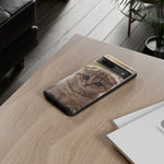 Scottish Fold Kitten Phone Case, Macro Close-Up Portrait Cover