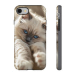 Ragdoll Kitten Sunbeam Phone Case Cute Kitten Aesthetic Gift