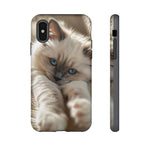 Ragdoll Kitten Sunbeam Phone Case Cute Kitten Aesthetic Gift