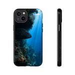 Grouper Reef Phone Case, Shadowed Ledge Light Tough Cover