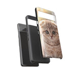 Scottish Fold Kitten Phone Case, Macro Close-Up Portrait Cover