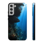 Grouper Reef Phone Case, Shadowed Ledge Light Tough Cover