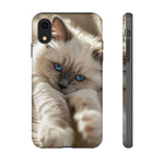 Ragdoll Kitten Sunbeam Phone Case Cute Kitten Aesthetic Gift