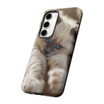 Ragdoll Kitten Sunbeam Phone Case Cute Kitten Aesthetic Gift