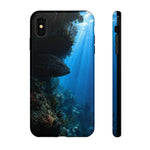 Grouper Reef Phone Case, Shadowed Ledge Light Tough Cover