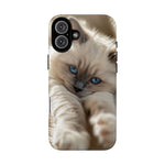 Ragdoll Kitten Sunbeam Phone Case Cute Kitten Aesthetic Gift