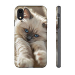 Ragdoll Kitten Sunbeam Phone Case Cute Kitten Aesthetic Gift