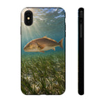 Redfish Phone Case, Seagrass Flat Underwater Art Cover
