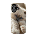 Ragdoll Kitten Sunbeam Phone Case Cute Kitten Aesthetic Gift