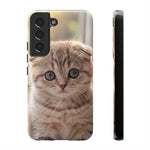 Scottish Fold Kitten Phone Case, Macro Close-Up Portrait Cover