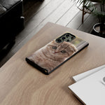 Scottish Fold Kitten Phone Case, Macro Close-Up Portrait Cover