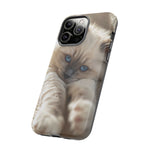 Ragdoll Kitten Sunbeam Phone Case Cute Kitten Aesthetic Gift