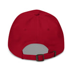 2023 Corvette Z06 C8 Vette Silhouette Custom Dad hat